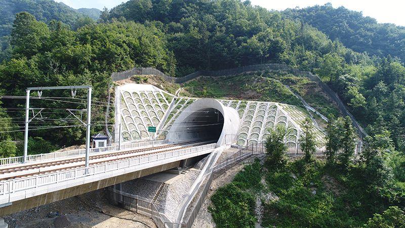 ���ɸ���