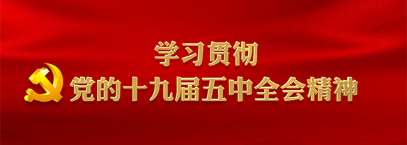 进建贯彻党的十九届五中全会心灵